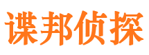 洛浦市调查公司